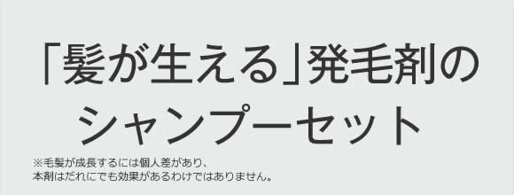 全額返金保証について